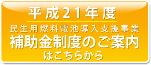 ����21�N�x