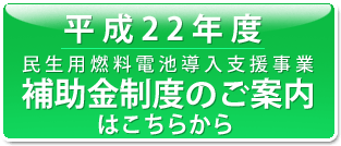 ����21�N�x